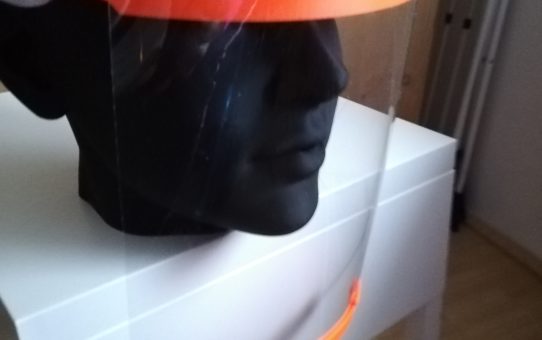 Face Shield